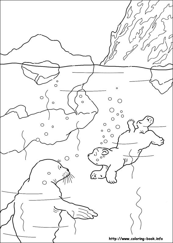 Little Polar Bear coloring picture